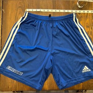 Adidas Men's Royal Blue Athletic Shorts